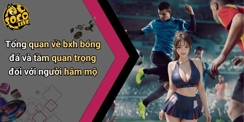 Tổng quan về bxh bóng đá và tầm quan trọng đối với người hâm mộ