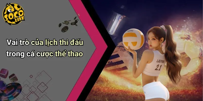 Vai trò của lịch thi đấu trong cá cược thể thao