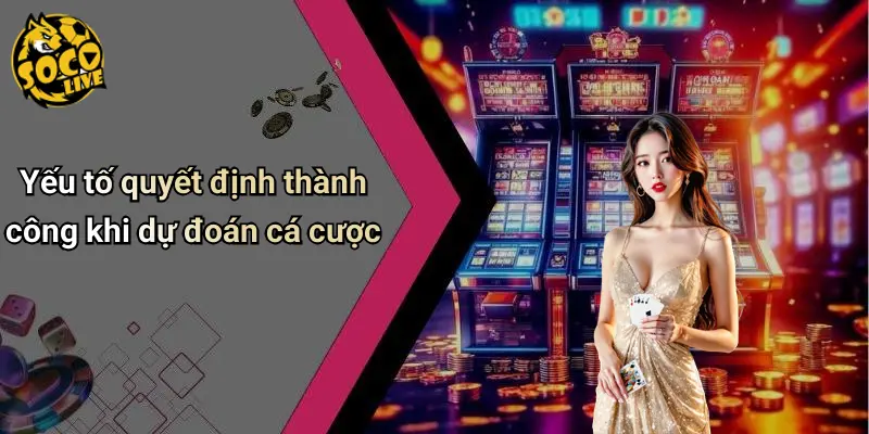 Yếu tố quyết định thành công khi dự đoán cá cược
