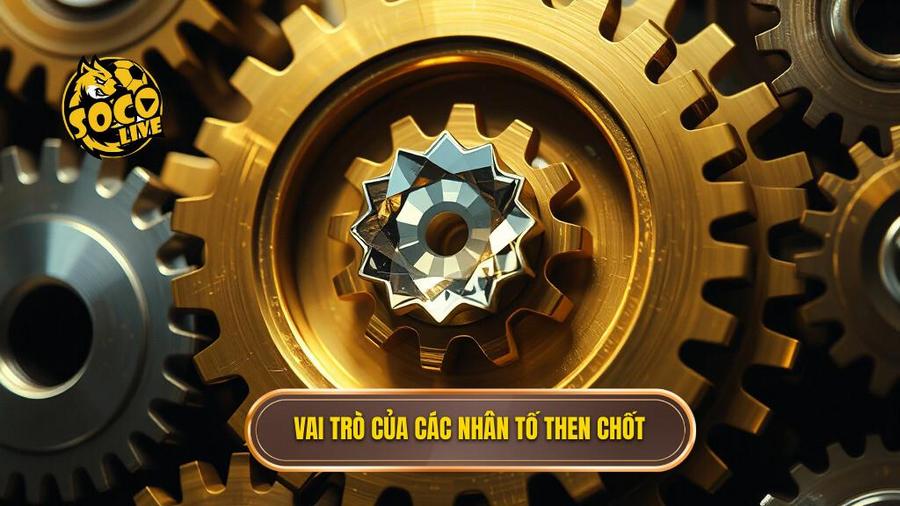 Vai trò của những nhân tố then chốt