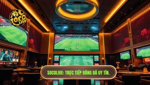 socolive trực tiếp bóng đá Việt Nam